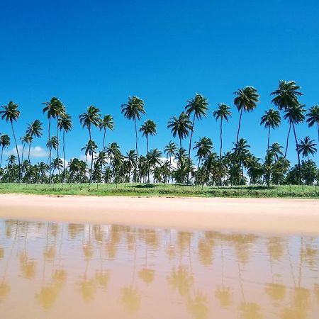 Flat Excelente Em Porto De Galinhas Palm Village Acqua Frente Para As Piscinas 外观 照片