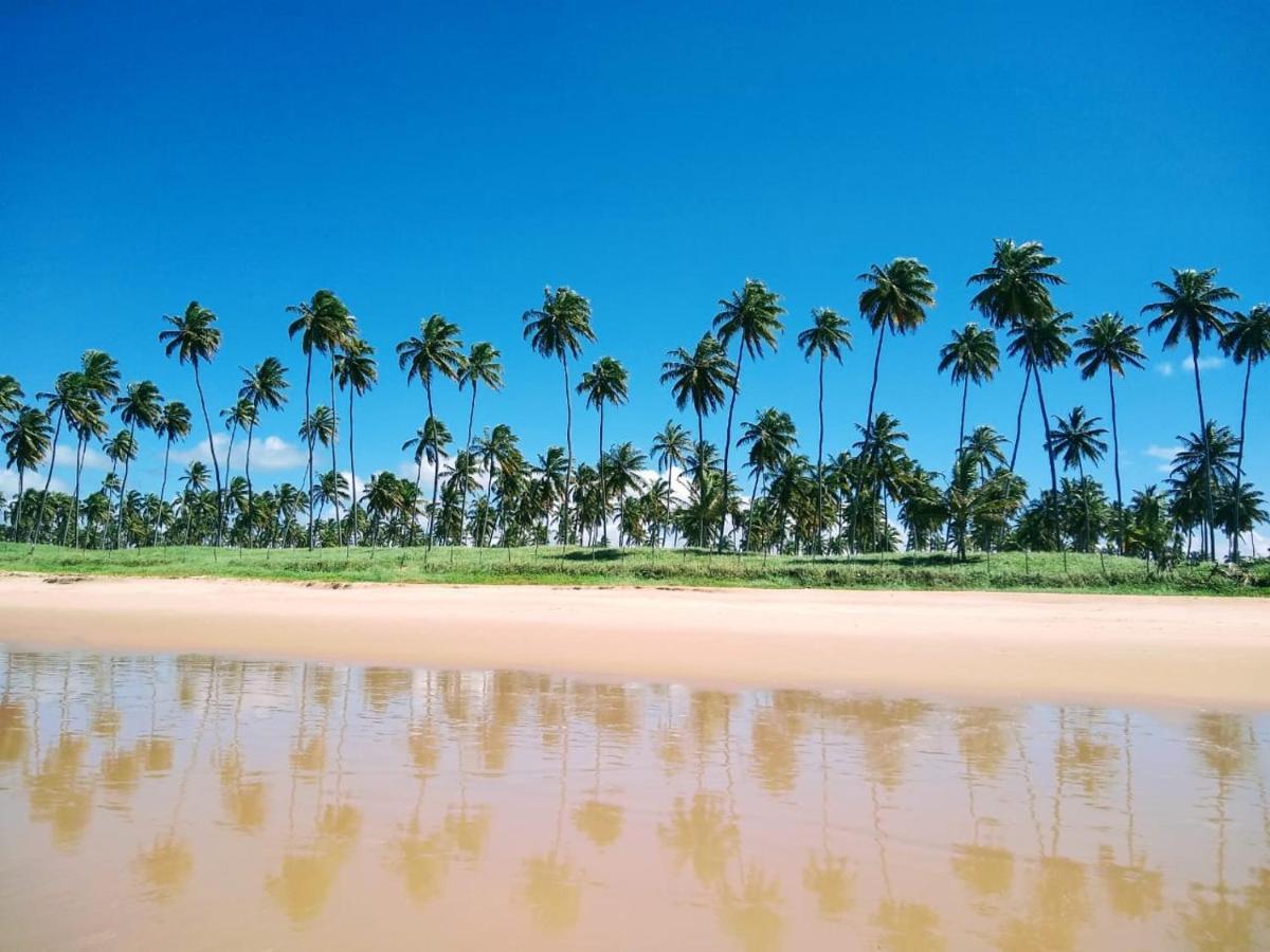 Flat Excelente Em Porto De Galinhas Palm Village Acqua Frente Para As Piscinas 外观 照片
